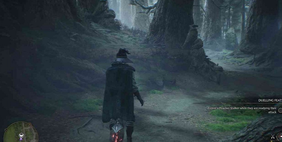 《霍格華茲的傳承》禁林蝴蝶在哪?禁林蝴蝶寶藏位置 《霍格華茲的傳承》禁林蝴蝶在哪?禁林蝴蝶寶藏位置