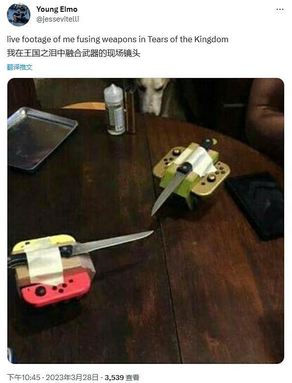 《王國之淚》“餘料建造”引熱議：玩家分享腦洞梗圖！