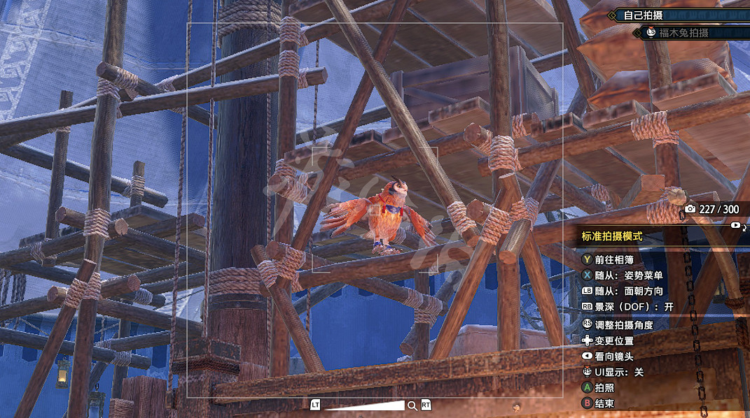 《魔物獵人崛起 曙光》福木兔在哪裡?福木兔拍照攻略 《魔物獵人崛起 曙光》福木兔在哪裡?福木兔拍照攻略