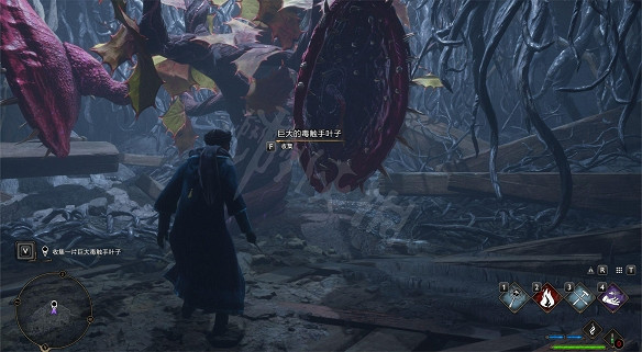 《霍格華茲的傳承》草藥學有什麽支線任務?草藥學教室支線任務介紹 《霍格華茲的傳承》草藥學有什麽支線任務?草藥學教室支線任務介紹