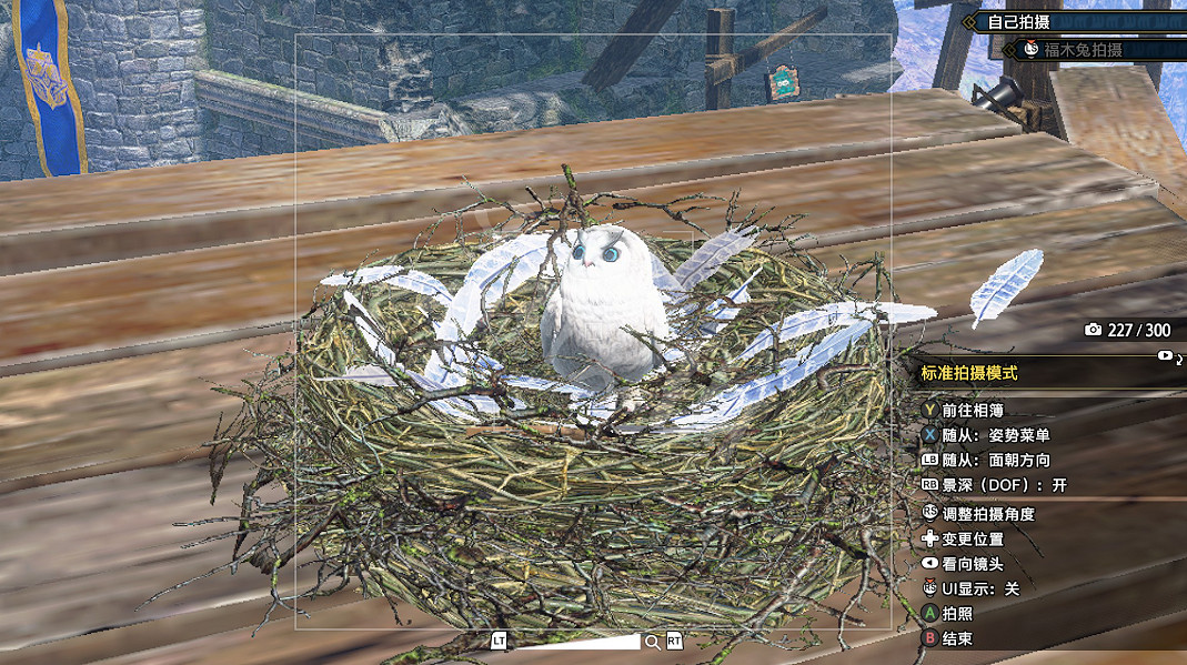 《魔物獵人崛起 曙光》福木兔在哪裡?福木兔拍照攻略 《魔物獵人崛起 曙光》福木兔在哪裡?福木兔拍照攻略