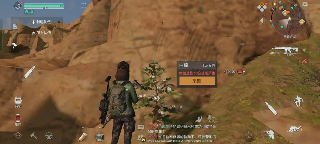 《黎明覺醒》白棉籽在哪 白棉籽位置介紹 《黎明覺醒》白棉籽在哪 白棉籽位置介紹