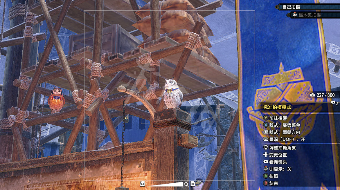 《魔物獵人崛起 曙光》福木兔在哪裡?福木兔拍照攻略 《魔物獵人崛起 曙光》福木兔在哪裡?福木兔拍照攻略