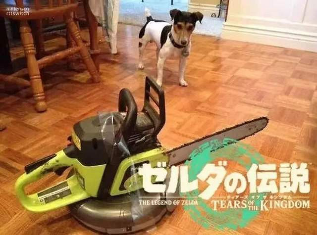 候場直接開香檳:《王國之淚》預定2023年最佳遊戲 候場直接開香檳:《王國之淚》預定2023年最佳遊戲