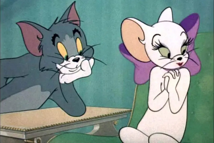 有多少人的性啟蒙導師是一隻小母貓？