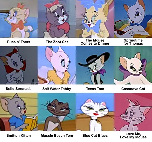 有多少人的性啟蒙導師是一隻小母貓？