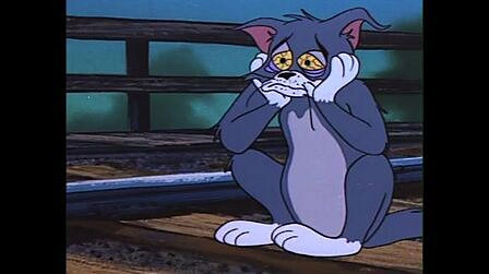 有多少人的性啟蒙導師是一隻小母貓？