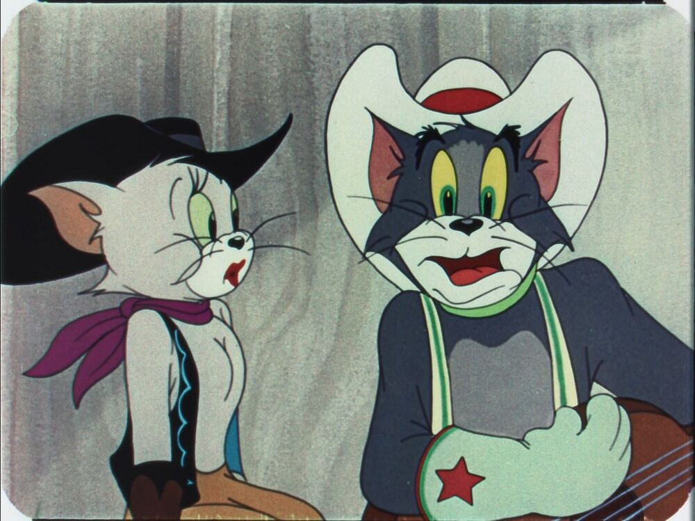 有多少人的性啟蒙導師是一隻小母貓？