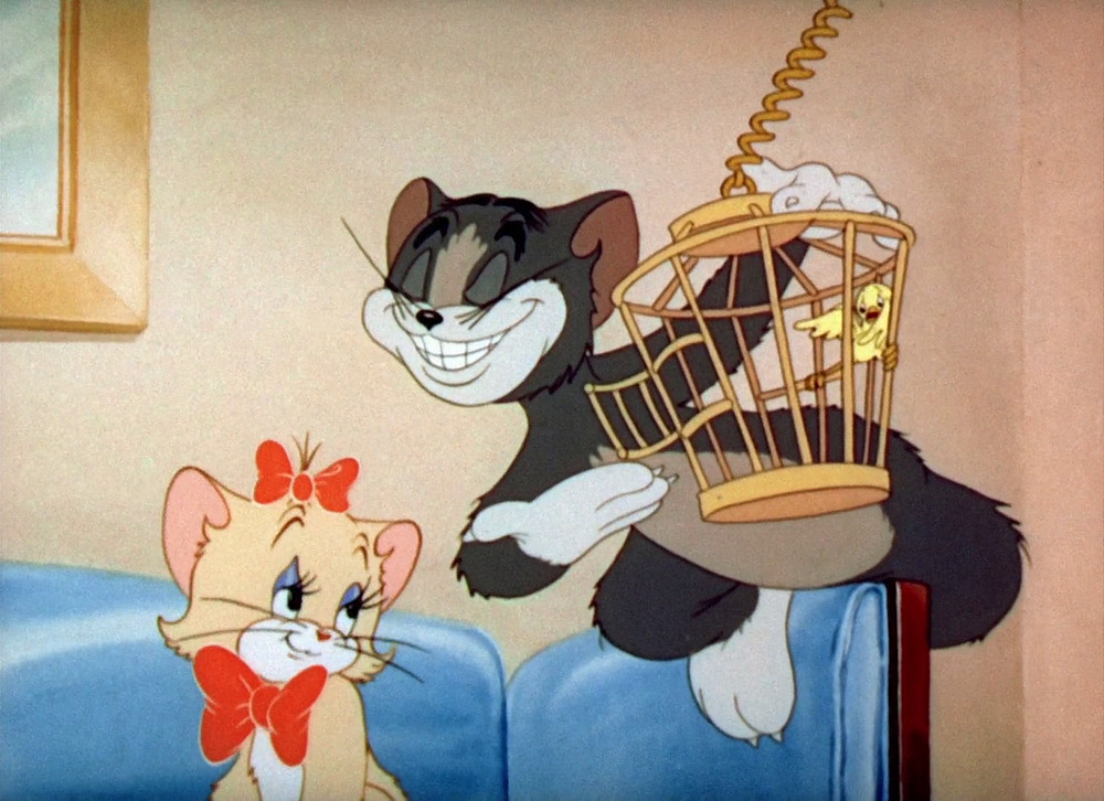 有多少人的性啟蒙導師是一隻小母貓？