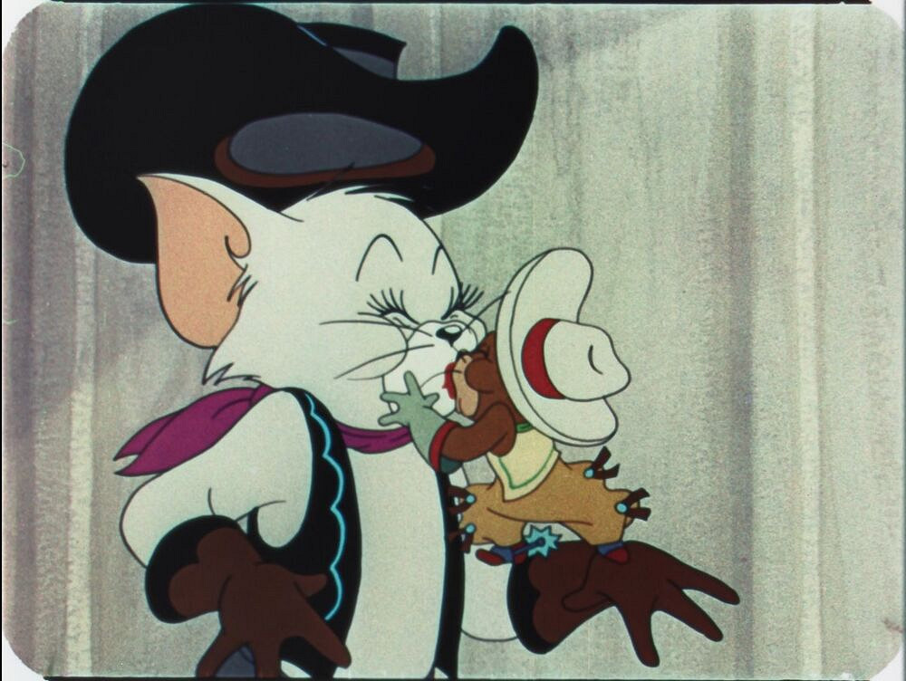 有多少人的性啟蒙導師是一隻小母貓？