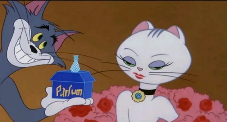 有多少人的性啟蒙導師是一隻小母貓？