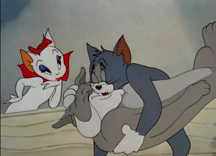 有多少人的性啟蒙導師是一隻小母貓？