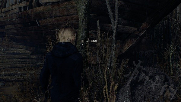 《惡靈古堡4重製版》隱藏獨角仙在哪兒?三隻隱藏獨角仙位置一覽 《惡靈古堡4重製版》隱藏獨角仙在哪兒?三隻隱藏獨角仙位置一覽