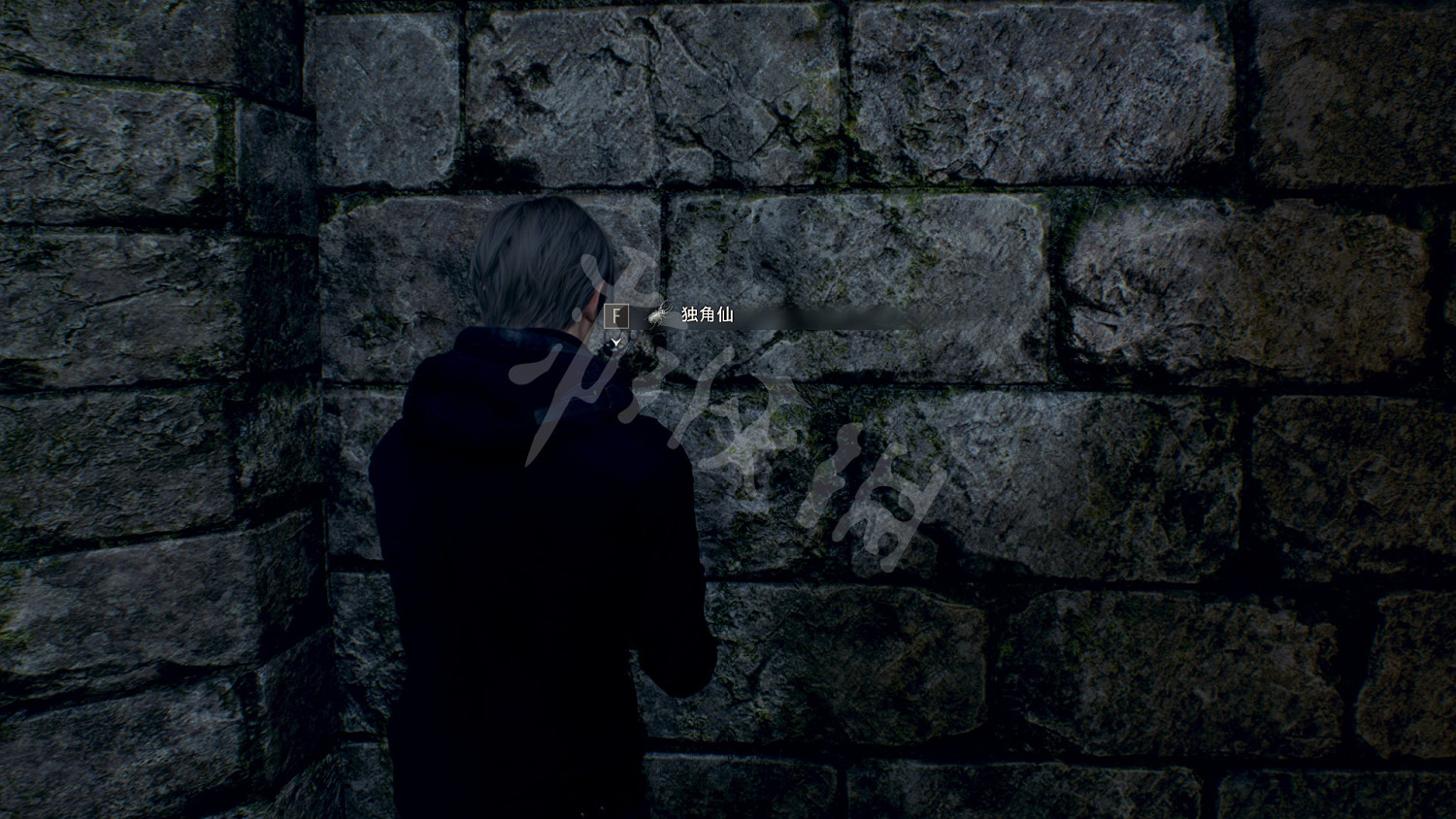 《惡靈古堡4重製版》獨角仙有什麽用?獨角仙作用及位置分布 《惡靈古堡4重製版》獨角仙有什麽用?獨角仙作用及位置分布