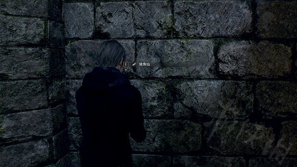 《惡靈古堡4重製版》隱藏獨角仙在哪兒?三隻隱藏獨角仙位置一覽 《惡靈古堡4重製版》隱藏獨角仙在哪兒?三隻隱藏獨角仙位置一覽