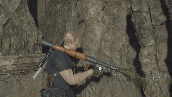 《惡靈古堡4重製版》獨角仙獲取分享 獨角仙有什麽用? 《惡靈古堡4重製版》獨角仙獲取分享 獨角仙有什麽用?