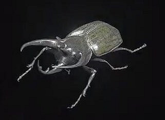 《惡靈古堡4重製版》獨角仙獲取分享 獨角仙有什麽用? 《惡靈古堡4重製版》獨角仙獲取分享 獨角仙有什麽用?