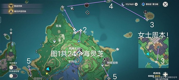 《原神》海靈芝採集路線分享  海靈芝怎麽採集？