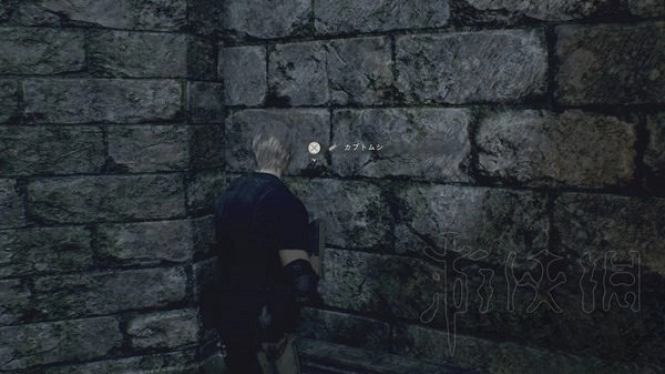 《惡靈古堡4重製版》獨角仙獲取分享 獨角仙有什麽用? 《惡靈古堡4重製版》獨角仙獲取分享 獨角仙有什麽用?