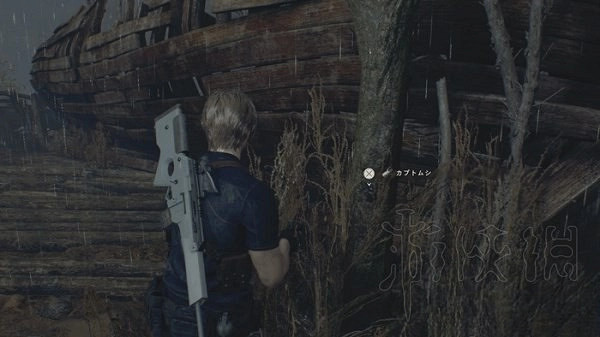 《惡靈古堡4重製版》獨角仙獲取分享 獨角仙有什麽用? 《惡靈古堡4重製版》獨角仙獲取分享 獨角仙有什麽用?