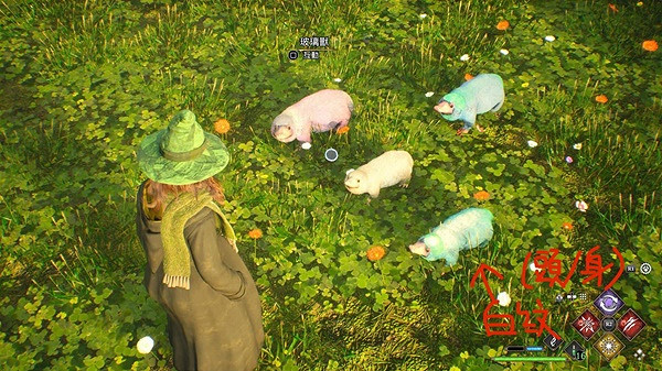 《霍格華茲的傳承》神器動物抓取攻略 怎麽抓奇獸? 《霍格華茲的傳承》神器動物抓取攻略 怎麽抓奇獸?