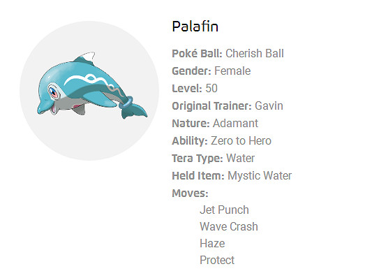 NS新聞 寶可夢歐錦賽配信海豚俠 最終幻想合集登陸Switch