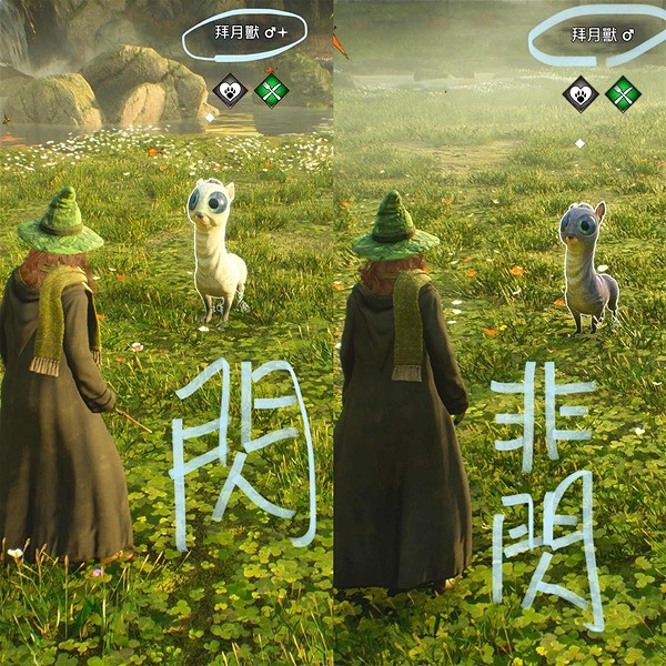 《霍格華茲的傳承》神器動物抓取攻略 怎麽抓奇獸? 《霍格華茲的傳承》神器動物抓取攻略 怎麽抓奇獸?