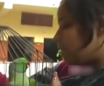 印度一樁九年前的殺人案，因為一隻神探鸚鵡重見天日