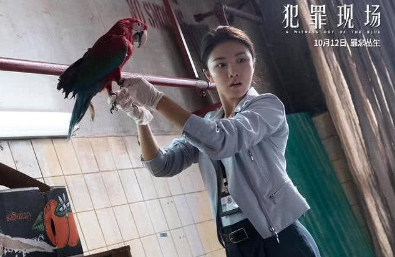 印度一樁九年前的殺人案，因為一隻神探鸚鵡重見天日