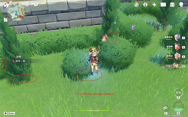 《原神》3.5鬆木採集路線分享 鬆木有什麽用? 《原神》3.5鬆木採集路線分享 鬆木有什麽用?