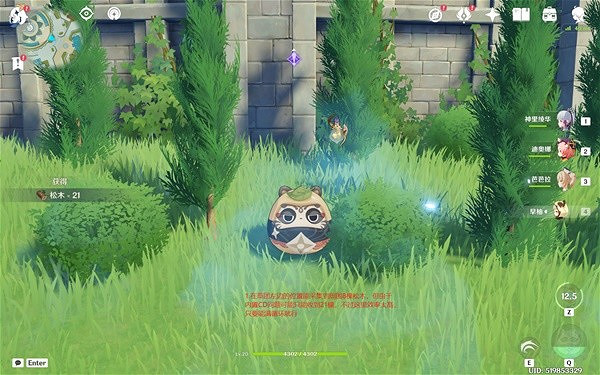 《原神》3.5鬆木採集路線分享 鬆木有什麽用? 《原神》3.5鬆木採集路線分享 鬆木有什麽用?