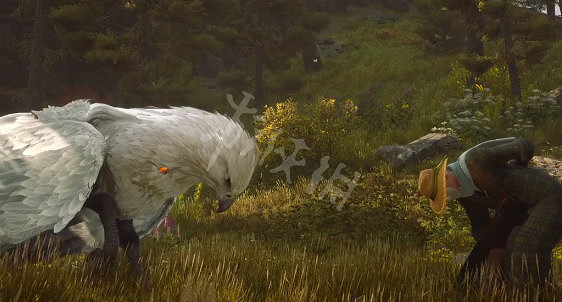 《霍格華茲的傳承》解鎖鷹頭馬身有翼獸坐騎 如何解鎖坐騎? 《霍格華茲的傳承》解鎖鷹頭馬身有翼獸坐騎 如何解鎖坐騎?