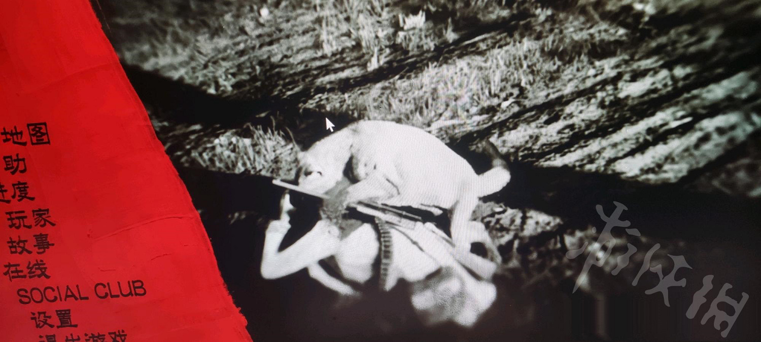 《荒野大鏢客2》美洲獅必刷位置分享 美洲獅固定刷新位置在哪？