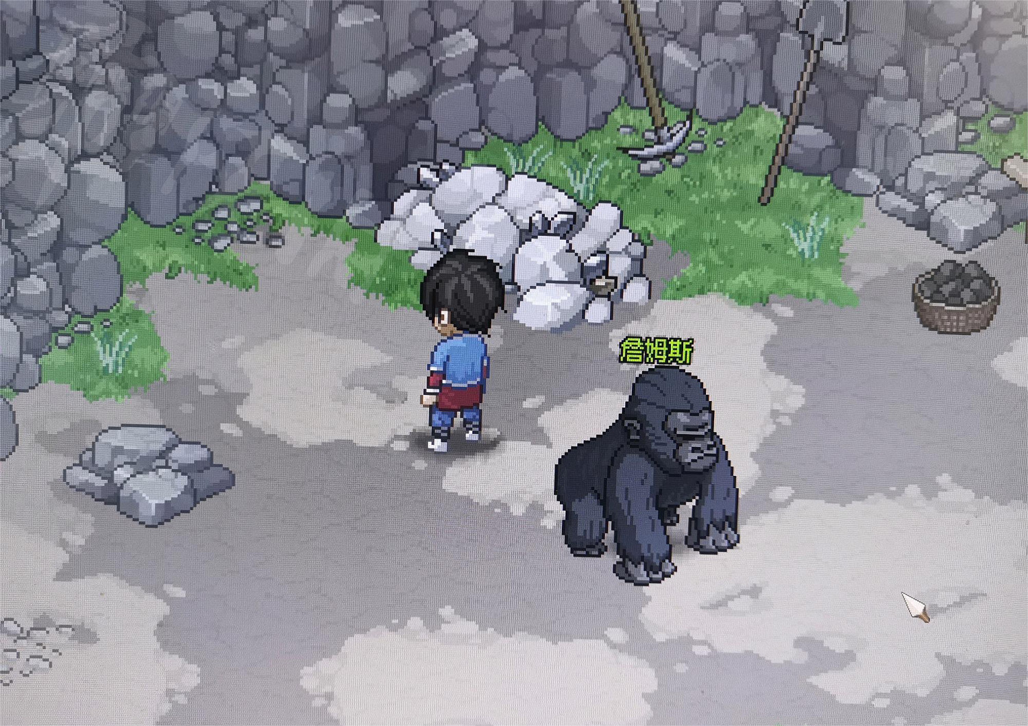 《大俠立誌傳》風系build配置一覽 風系怎麽搭配？