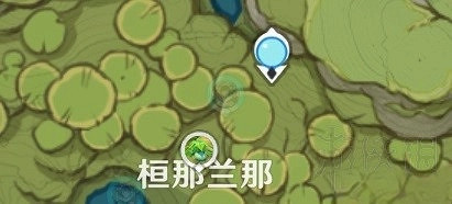 《原神》帕蒂沙蘭收集指南 帕蒂沙蘭怎麽獲得？