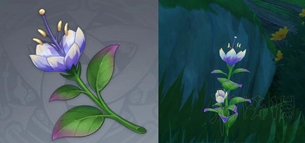 《原神》帕蒂沙蘭收集指南 帕蒂沙蘭怎麽獲得？