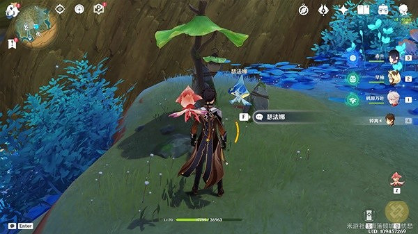 《原神》3.6淨覺花任務攻略  任務怎麽完成？