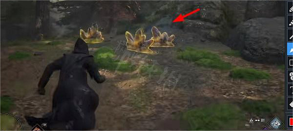 《霍格華茲的傳承》月石位置一覽　月石在什麽地方？