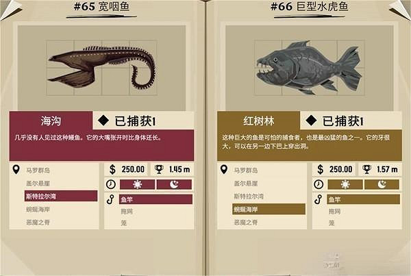 《漁帆暗湧》外來物種有那些魚？外來物種魚類圖鑒