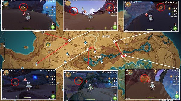 《原神》苦離果解謎位置在哪兒？苦離果解謎具體位置介紹