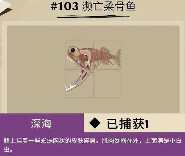 《漁帆暗湧》斯特拉爾灣魚類有哪些？斯特拉爾灣全魚種圖鑒