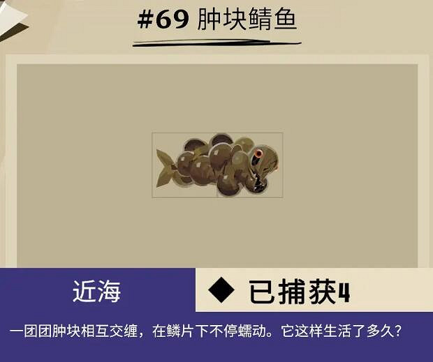 《漁帆暗湧》dredge馬羅群島魚獲圖鑒匯總 馬羅群島魚類有哪些？