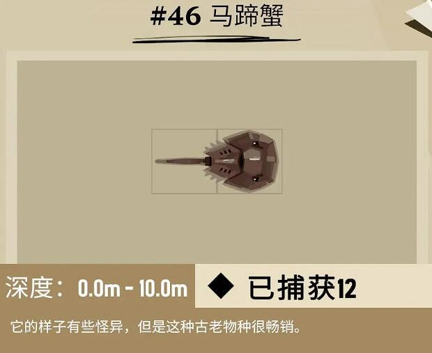 《漁帆暗湧》蜿蜒海岸魚獲圖鑒一覽 蜿蜒海岸魚有哪些？