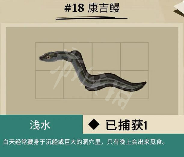 《漁帆暗湧》康吉鰻魚在哪裡?康吉鰻魚位置及捕獲技巧 《漁帆暗湧》康吉鰻魚在哪裡?康吉鰻魚位置及捕獲技巧