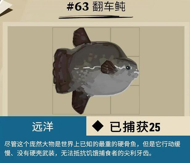 《漁帆暗湧》公海魚類圖鑒匯總 公海可捕魚獲有哪些？