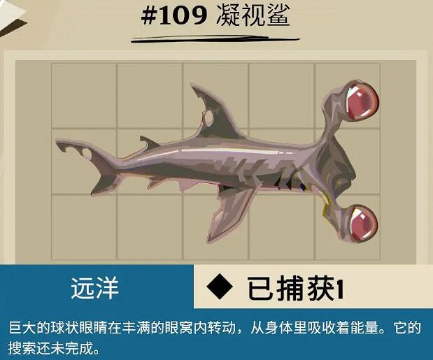 《漁帆暗湧》斯特拉爾灣魚類有哪些？斯特拉爾灣全魚種圖鑒