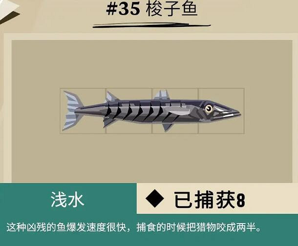 《漁帆暗湧》斯特拉爾灣魚類有哪些？斯特拉爾灣全魚種圖鑒