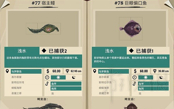 《漁帆暗湧》畸變品種圖鑒一覽  畸變品種有哪些？