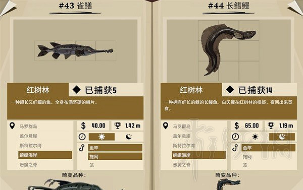 《漁帆暗湧》蜿蜒海灣魚類圖鑒  蜿蜒海灣有哪些魚？