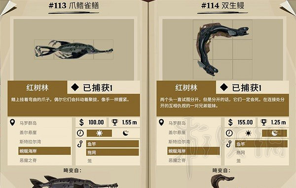 《漁帆暗湧》畸變品種圖鑒一覽  畸變品種有哪些？